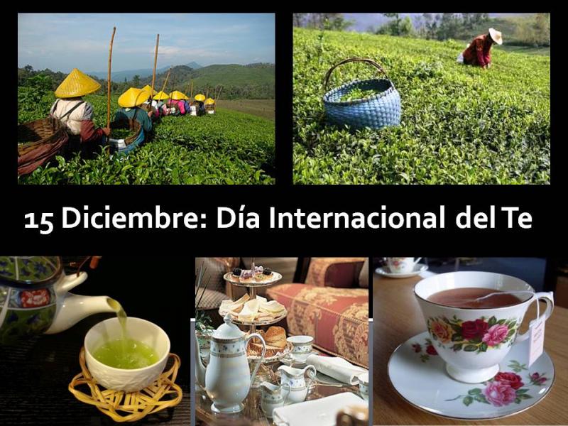 15 de Diciembre: Dia Internacional del Té